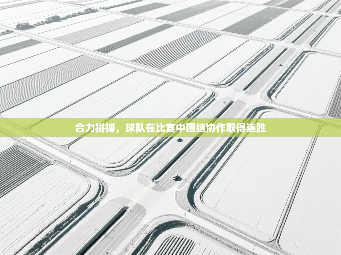 合力拼搏，球队在比赛中团结协作取得连胜  第1张