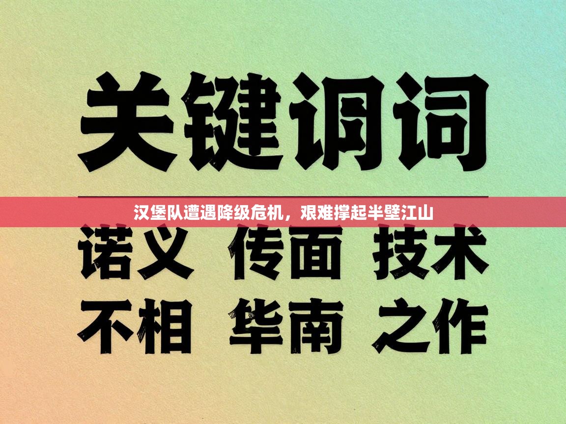 汉堡队遭遇降级危机，艰难撑起半壁江山  第2张