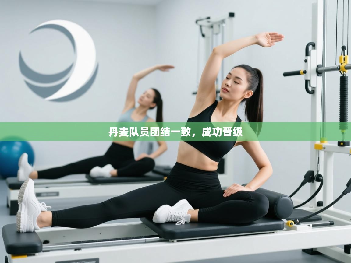 丹麦队员团结一致，成功晋级  第2张