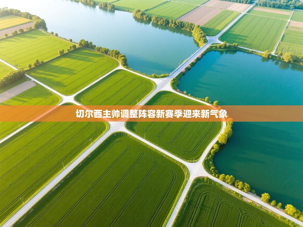 切尔西主帅调整阵容新赛季迎来新气象  第1张