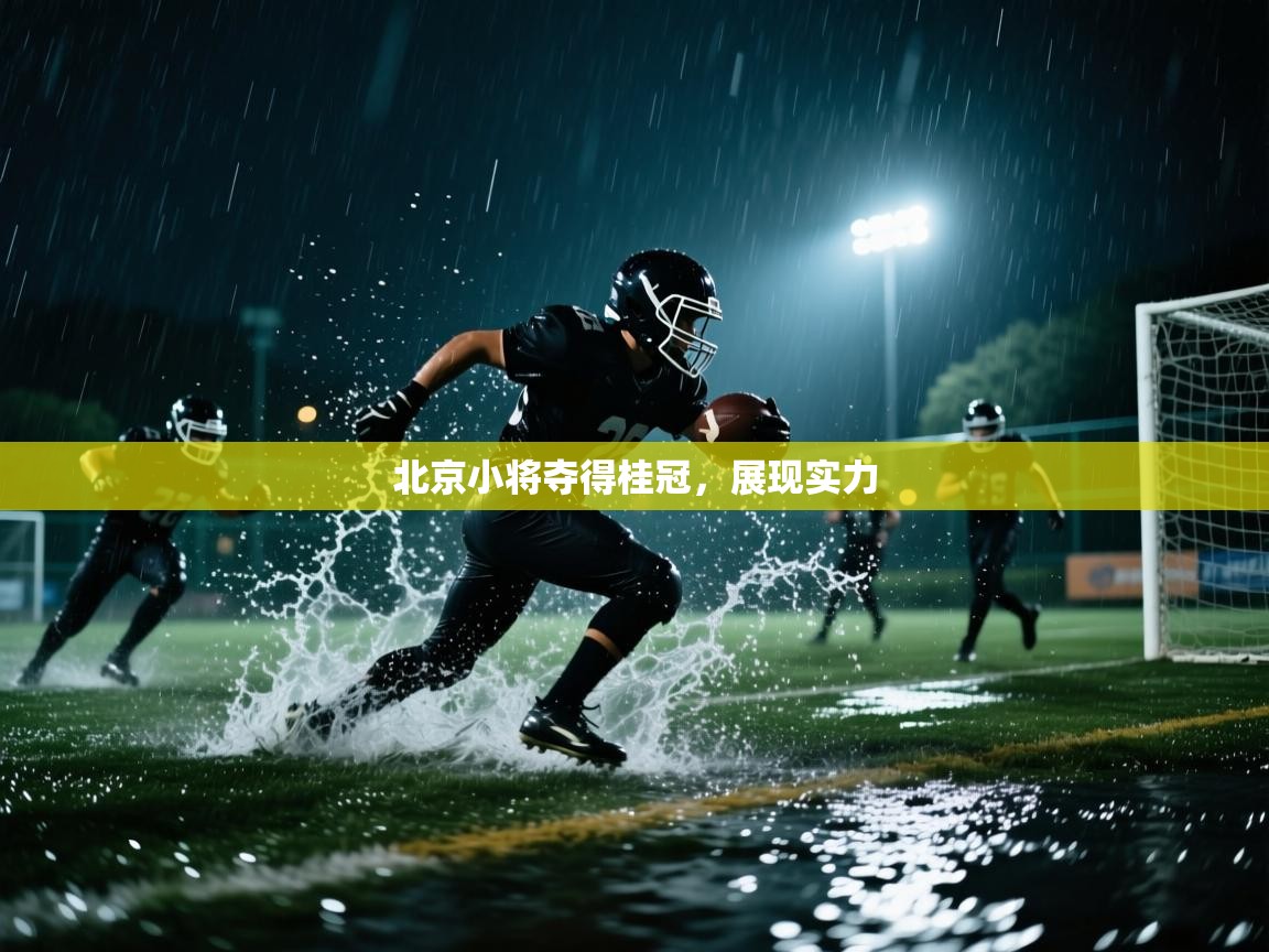 北京小将夺得桂冠，展现实力  第2张