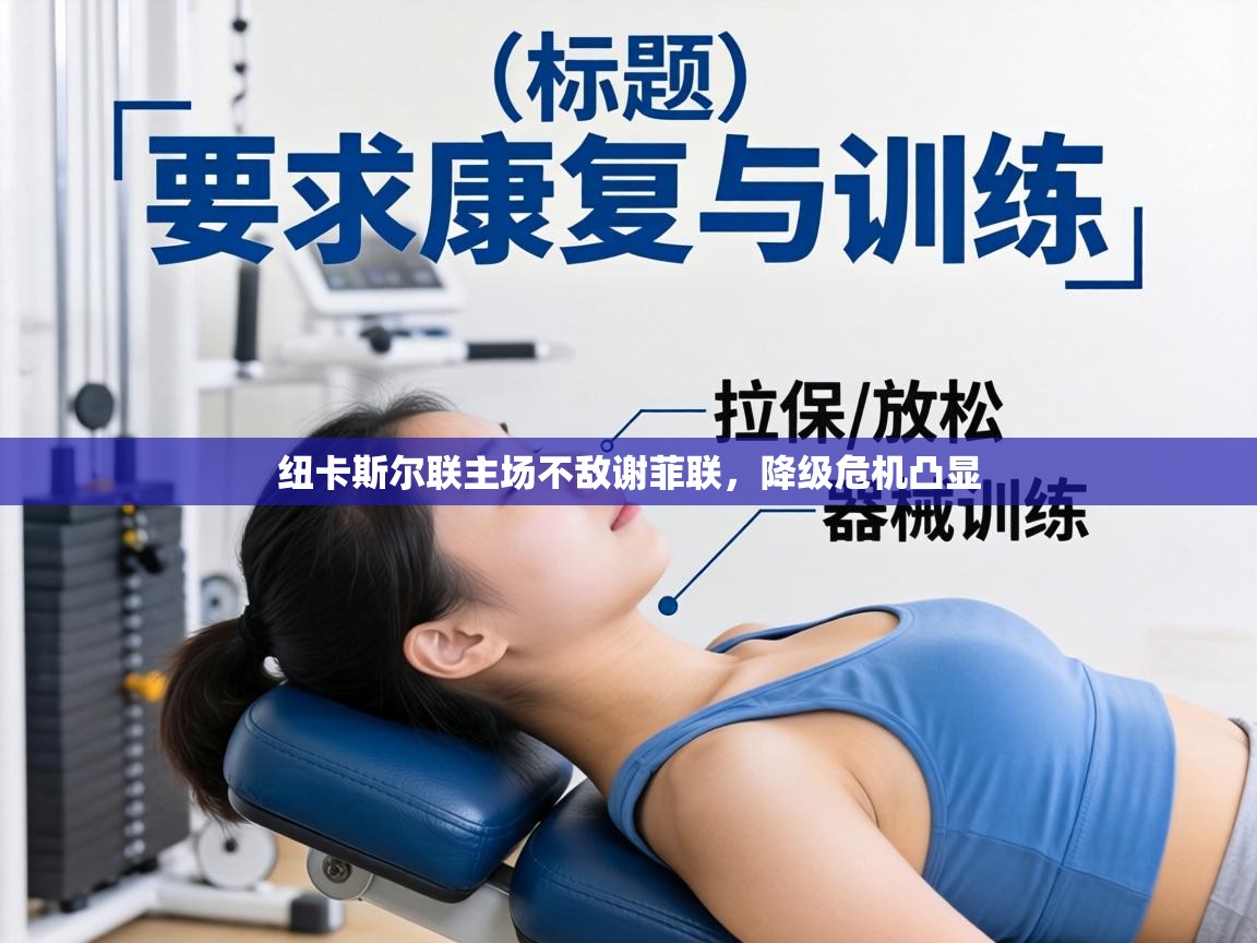 纽卡斯尔联主场不敌谢菲联，降级危机凸显  第1张