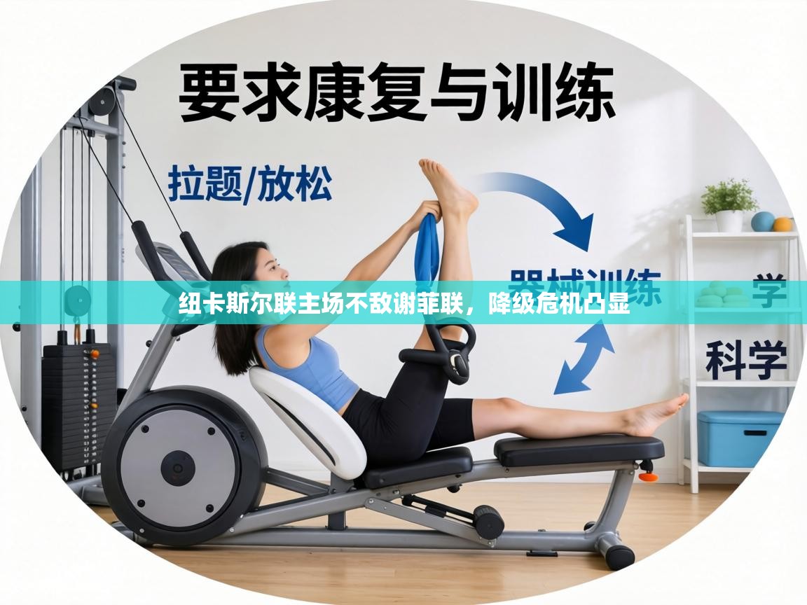 纽卡斯尔联主场不敌谢菲联，降级危机凸显  第2张