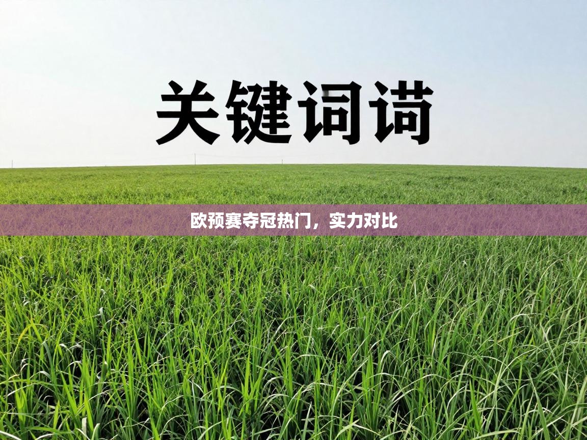 欧预赛夺冠热门,实力对比 第1张